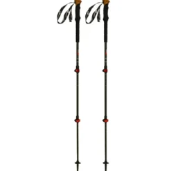 Bastoncini Carbon