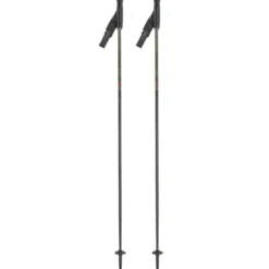 Bastoncini Piste Carbon