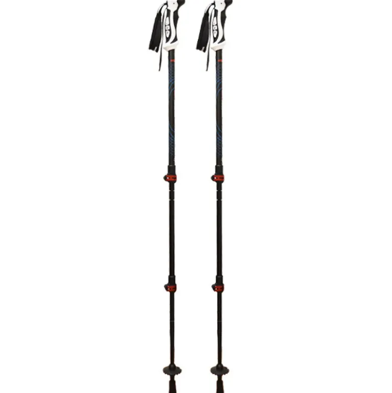 Bastoncini Trek Evo