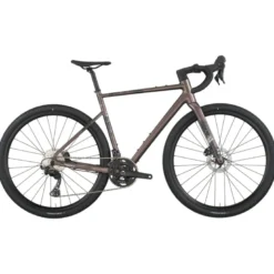 Bici Speedster Gravel Team