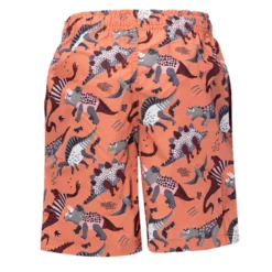 Boxer bambino little dinosauri