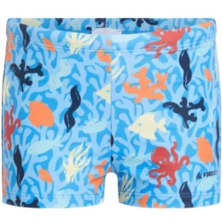 Boxer bambino little Samon