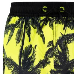 Boxer bambino Palme