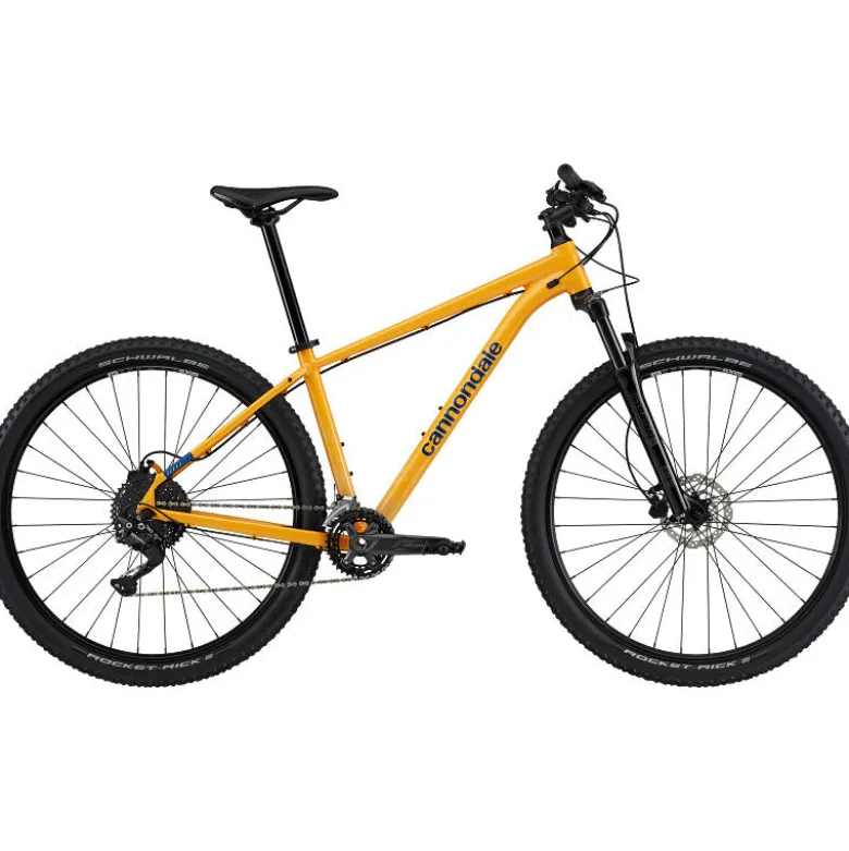 Mtb Trail 5