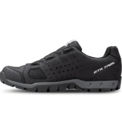 Scarpe uomo Trail Evo GTX BOA