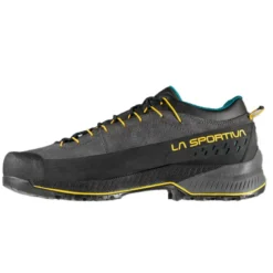 Scarpe uomo TX4 Evo GTX
