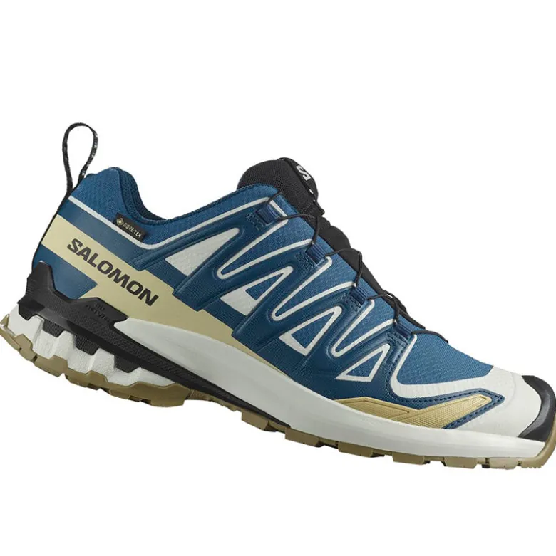 Scarpe uomo XA Pro 3D V9 GTX