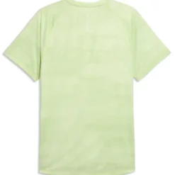 T-shirt uomo Velocity